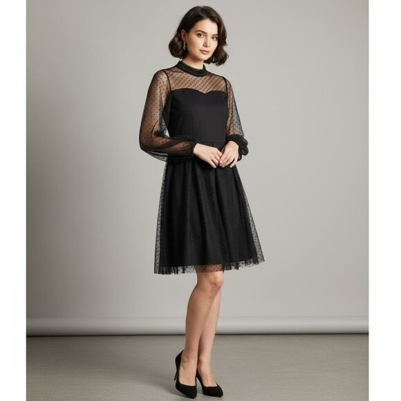 Whimsigoth Black Mesh Polka Dot Sheer Lace Whimsygoth Dainty Dress - Picture 1 of 13